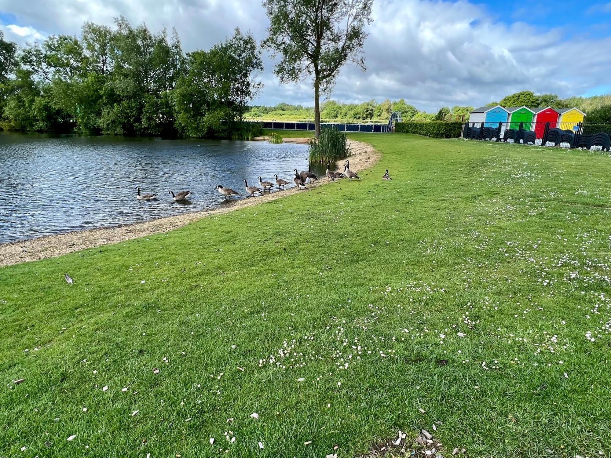 Reeds View Holiday Lodge South Cerney Eksteriør bilde